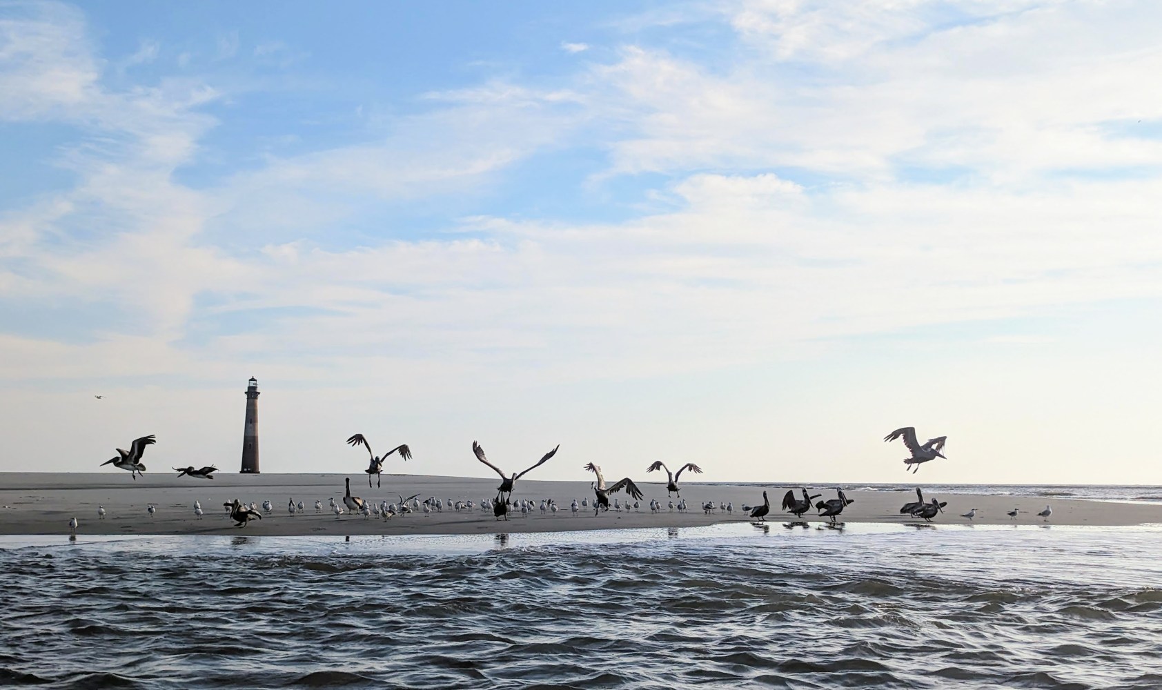 a flock of seagulls flying over a body of water