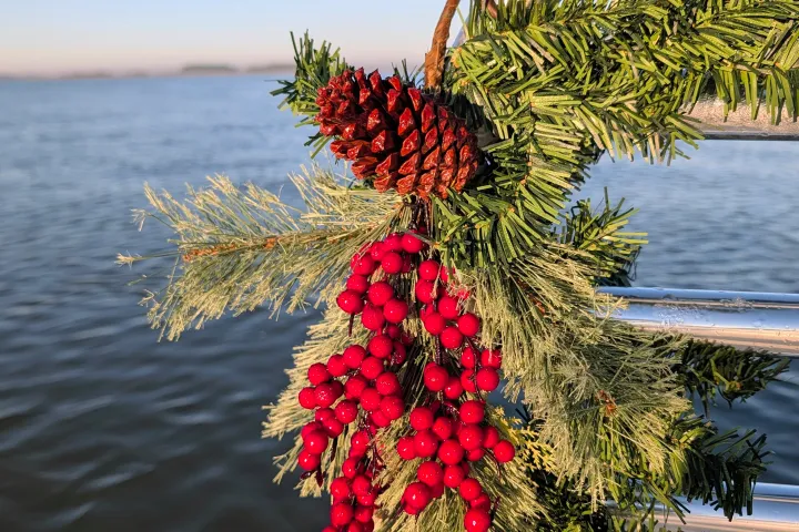 Christmas greenery with pine cone and red berries on railing by water.