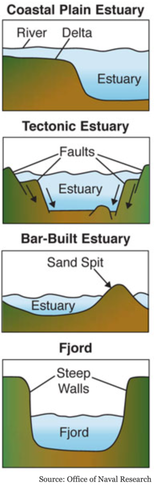 Diagram shows types of estuaries: coastal plain, tectonic, bar-built, and fjord, with labeled features.
