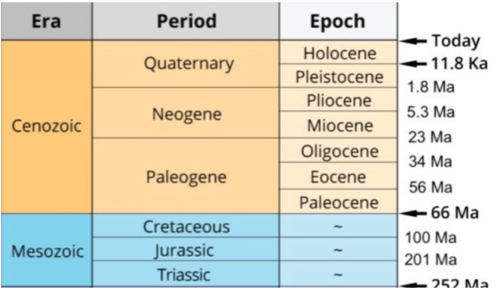 Geological time chart showing Cenozoic and Mesozoic eras, periods, and epochs with dates.