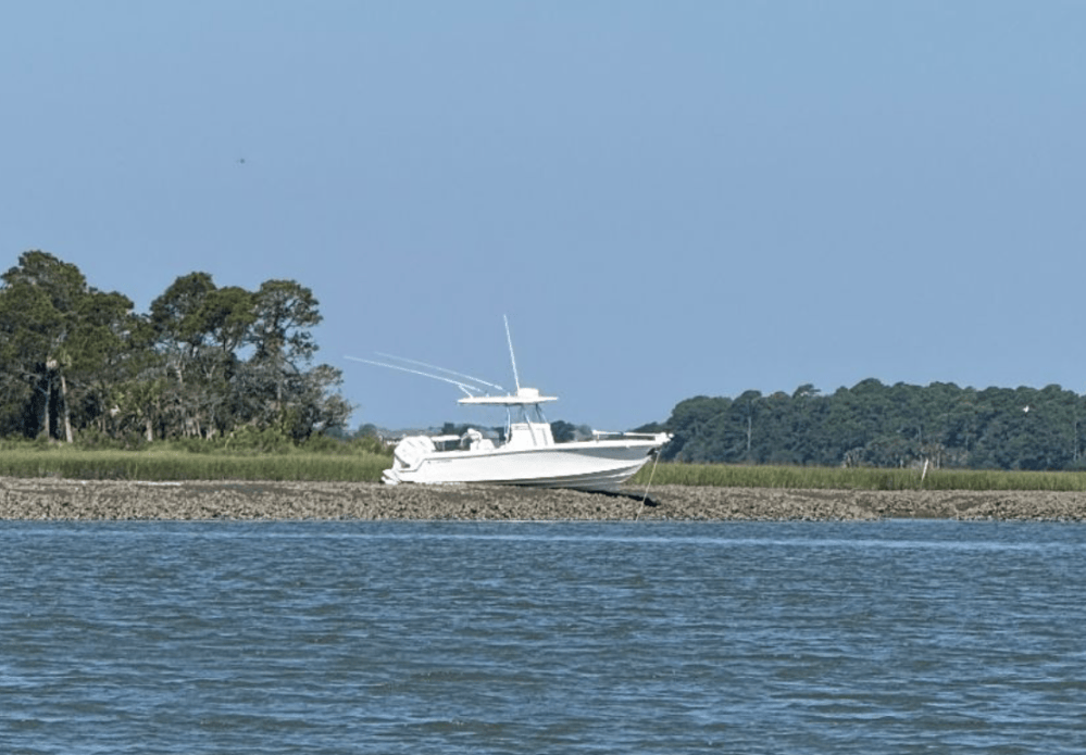 Boat stranded on a rocky shoreline with trees in the background.